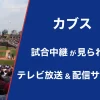 カブス（今永昇太・鈴木誠也）の試合を放送するテレビや配信サービス！